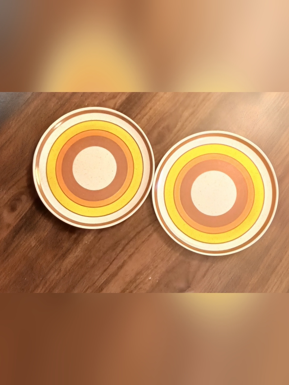 Retro Concentric Stripe Ceramic Dinner Plates in Yellow & Brown